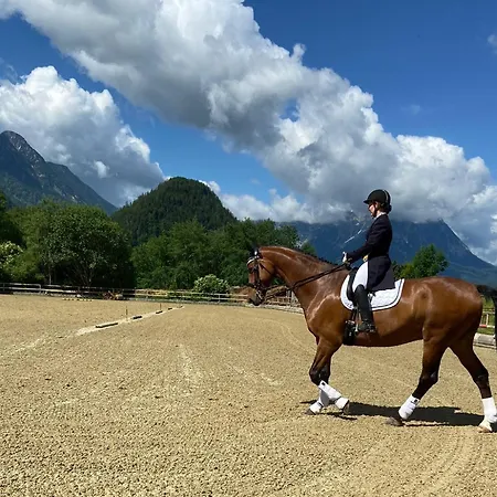 Narzissendorf Zloam * Grundlsee