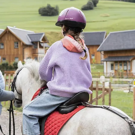 Narzissendorf Zloam Grundlsee