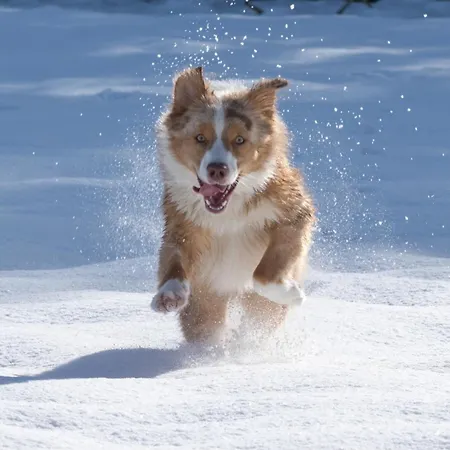 Narzissendorf Zloam - Ferien & Abenteuer Am