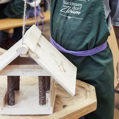 Narzissendorf Zloam - Ferien & Abenteuer Am 4* Grundlsee