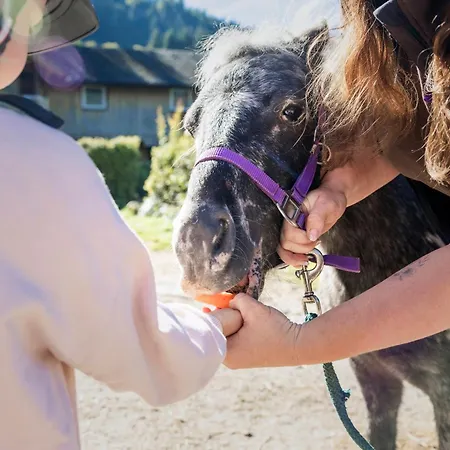 Narzissendorf Zloam - Ferien & Abenteuer Am Apart Otel