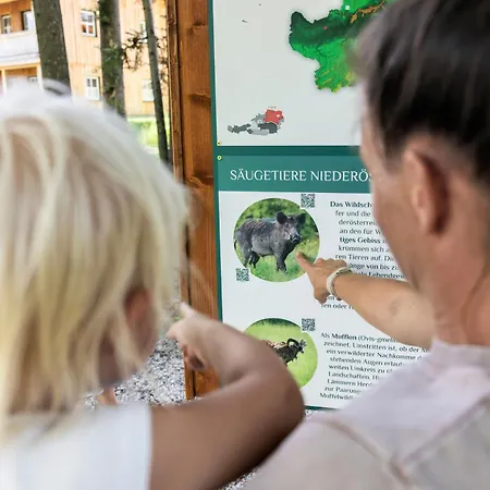 Narzissendorf Zloam - Ferien & Abenteuer Am