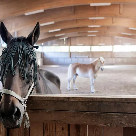 Narzissendorf Zloam - Ferien & Abenteuer Am Apartahotel 4*