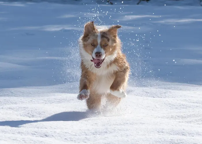 Narzissendorf Zloam - Ferien & Abenteuer Am