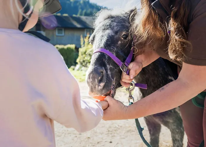 Narzissendorf Zloam - Ferien & Abenteuer Am Apartahotel