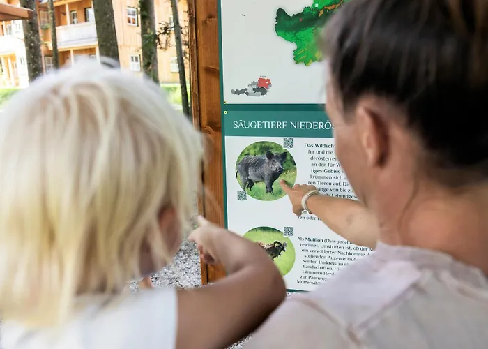 Narzissendorf Zloam - Ferien & Abenteuer Am