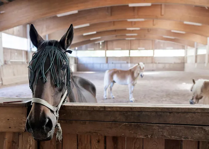 Narzissendorf Zloam - Ferien & Abenteuer Am Aparthotel 4*
